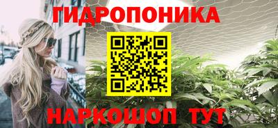 mdma Можга