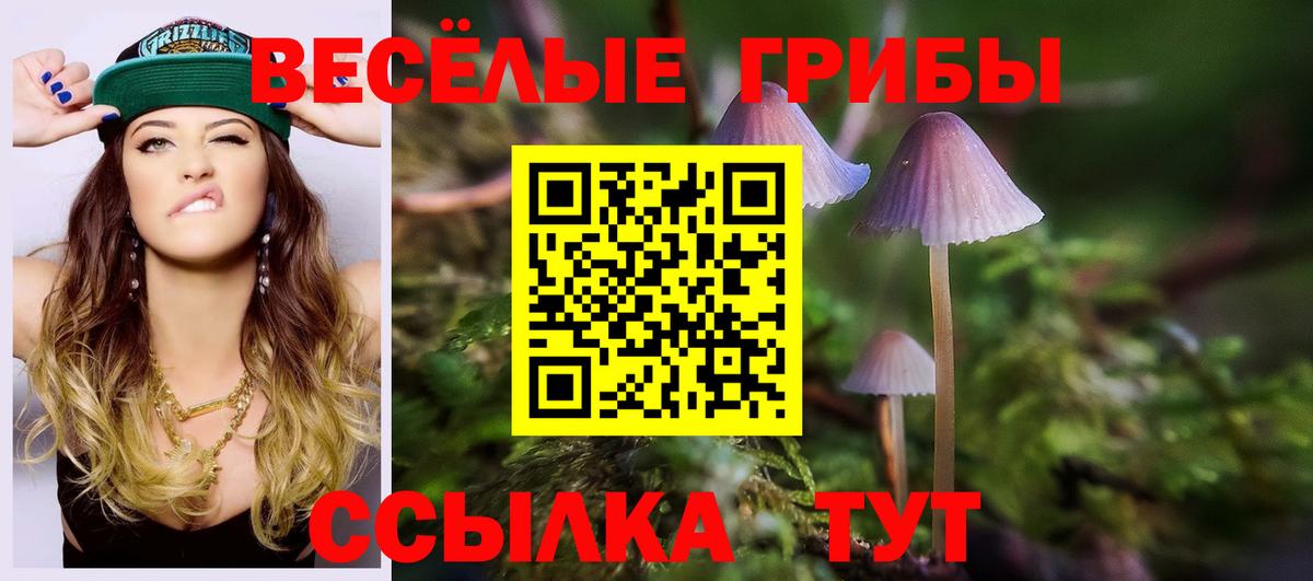 Трёхгорный  продажа наркотиков  Псилоцибиновые грибы прущие грибы  Вход с VPN  Галлюциногенные грибы ЛСД 